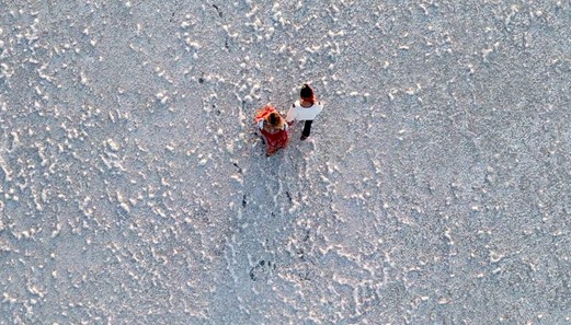 グジャラート 湿原